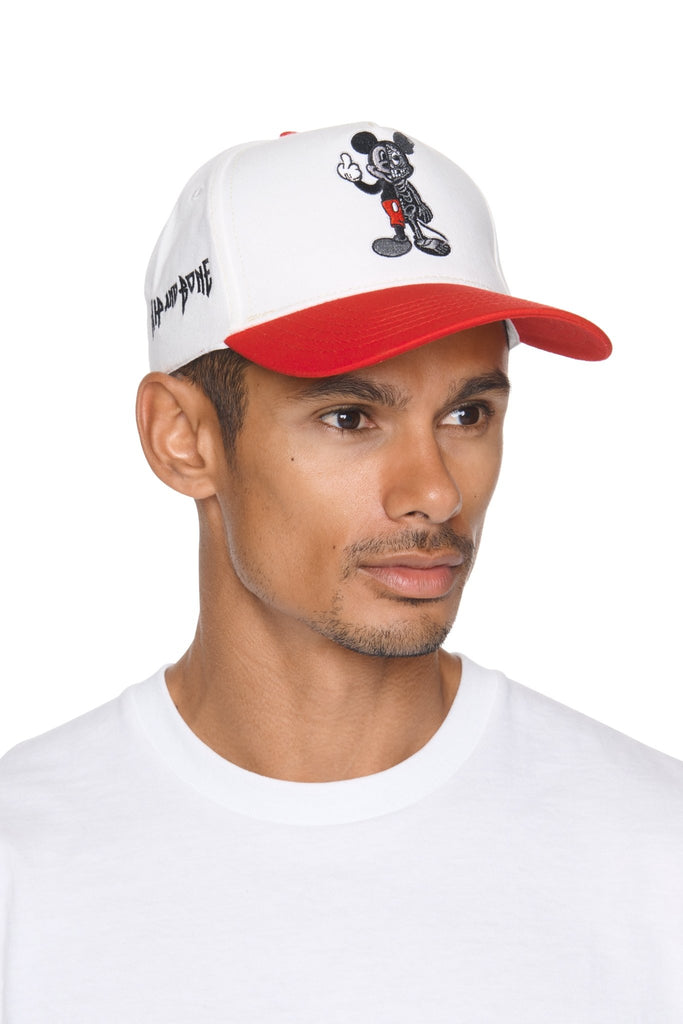 HIP & BONE - TWO TONE TWISTED MOUSE BRUSHED COTTON SNAP BACK HAT - CAPS_HIP & BONE - Aritmetik - montreal